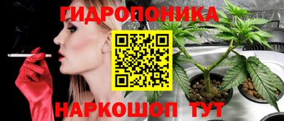 прущий лед Гусь-Хрустальный
