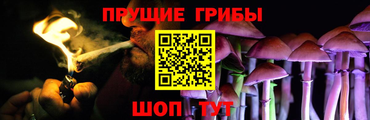 Корсаков  Галлюциногенные грибы прущие грибы  Вход с VPN 