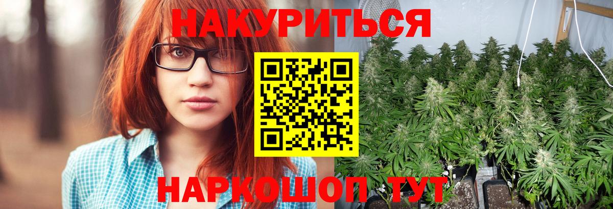 Конопля семена Корсаков